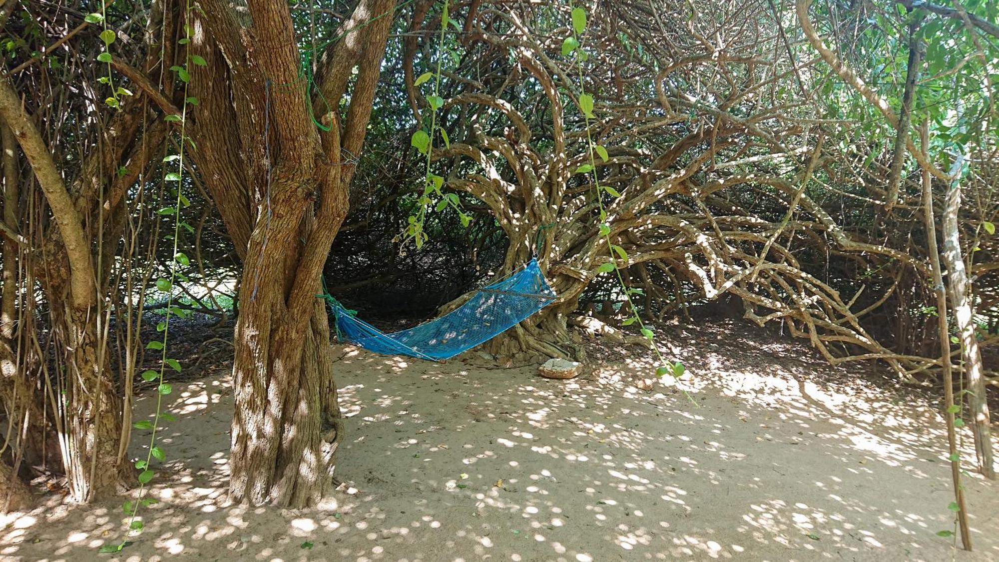 Yala Podi Hoona Bush Camp Hotel Exterior photo