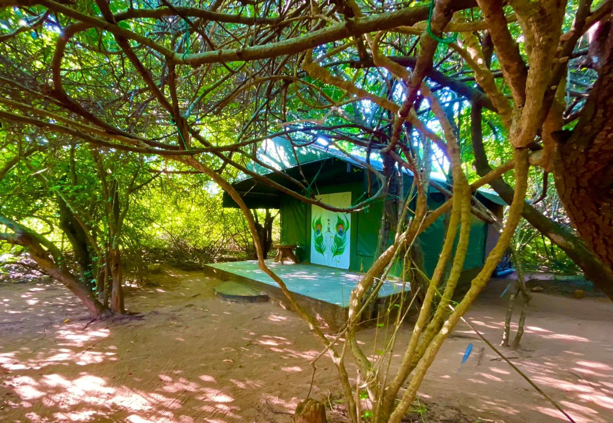 Yala Podi Hoona Bush Camp Hotel Exterior photo